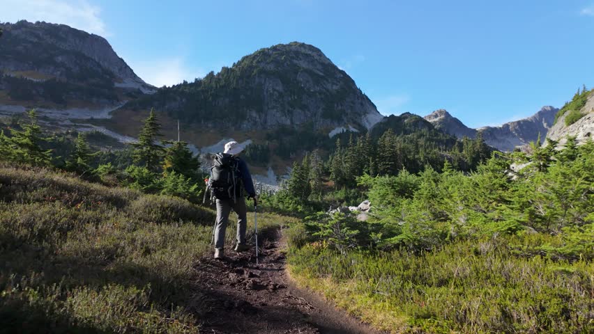 Hiker Exploring a Scenic Mountain Trail in British Columbia, Canada on a Bright Sunny Day