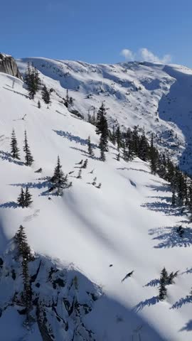 Majestic Snow-Covered Mountains and Pine Forests Under a Brilliant Blue Sky in British Columbia, Canada