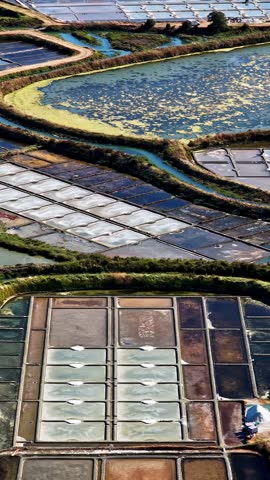 Mosaic rows of saltern basins border winding green canals and algae ponds as the camera glides across the coastal site.