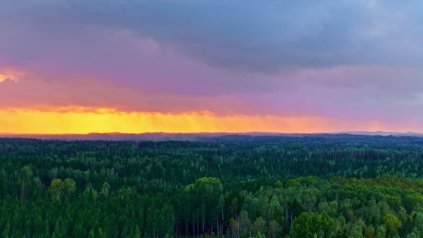 Vast green forest under dramatic sunset sky with colorful clouds and distant hills