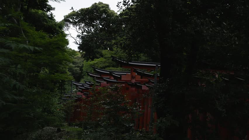 Fushimi Inari-taisha in the evening before dark, Kyoto