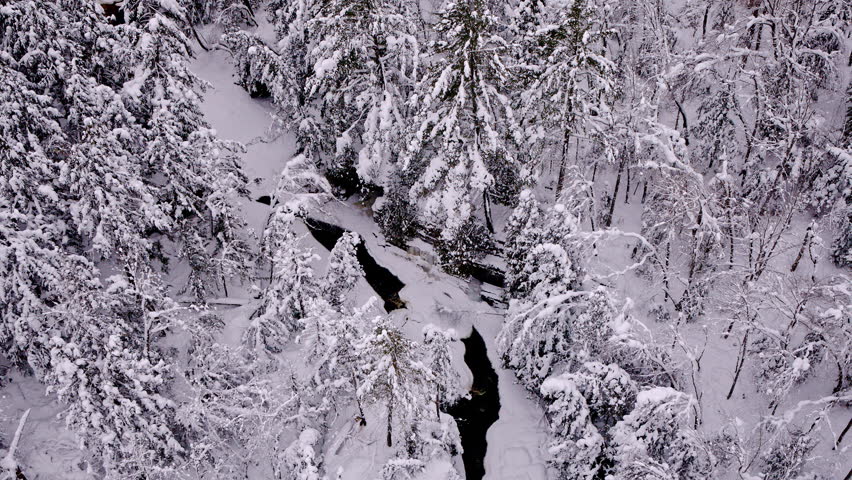 High-altitude drone shot of a river meandering through snowy Northern Michigan woods.