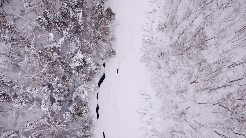 Drone captures the beauty of a snow-covered river corridor in Northern Michigan.