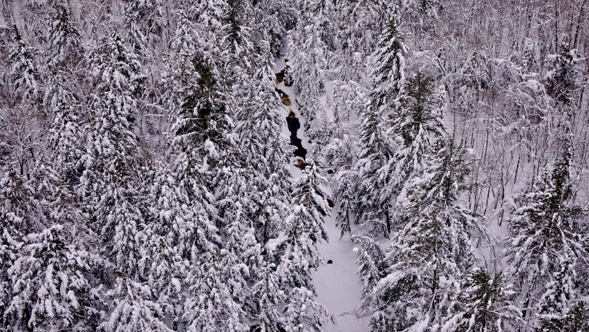 Winter drone view of a winding river and snow-covered forest in Northern Michigan.