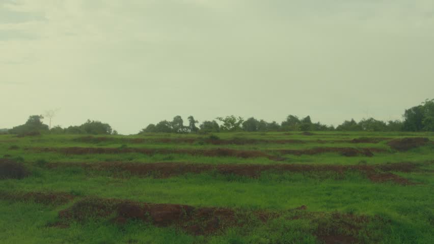 Wide view of terraced green fields under cloudy sky, with trees on the horizon