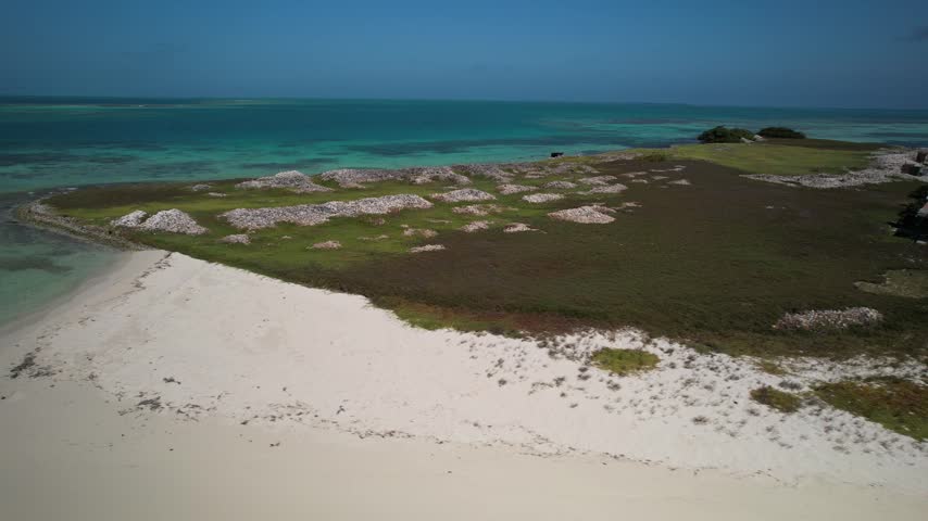 Drone tracking shot of a remote Caribbean island with queen conch shell mounds, white sand beach, and crystal-clear turquoise sea in Los Roques.