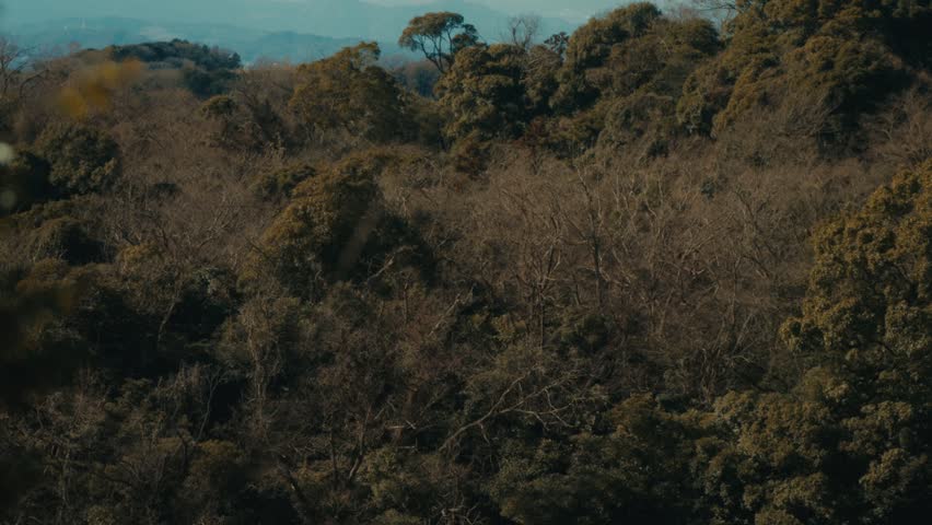 A wide view of snow-capped Mount Fuji from the Hansobo Shrine observation point at Kencho-ji temple in Kamakura, with rolling wooded hills and bare winter trees leading toward the distant mountain.