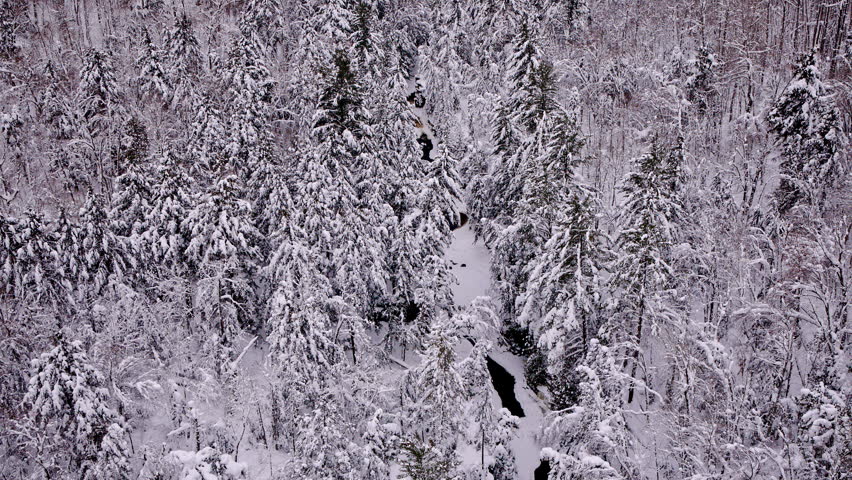 Scenic aerial of a forested river after fresh snowfall in Northern Michigan.