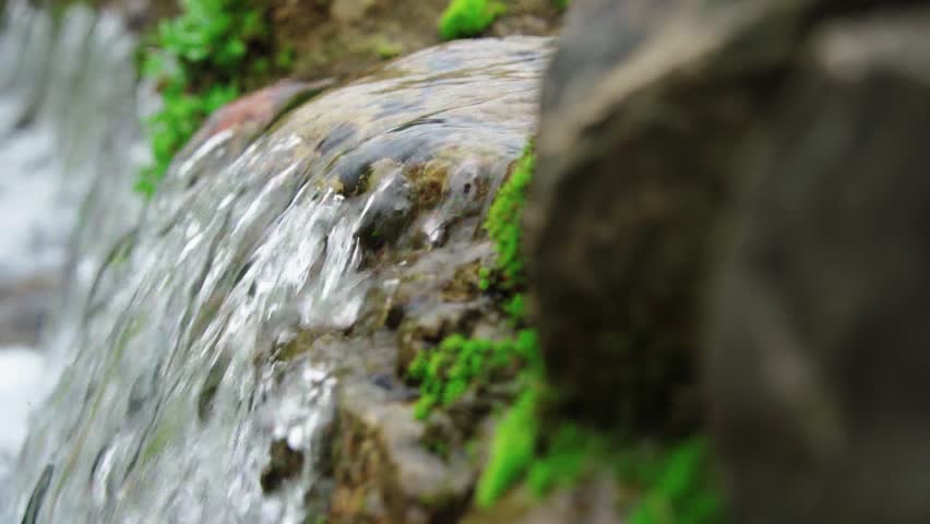 Clear stream water flowing over mossy rocks in a serene natural forest environment