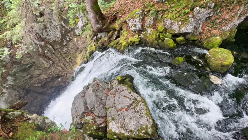 Top-down view of Golling Waterfall spilling over mossy rocks into a narrow forest gorge, with rushing whitewater and rugged stone textures.