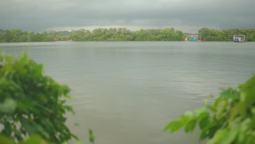 Calm river scene with green foliage in foreground and distant trees under cloudy sky