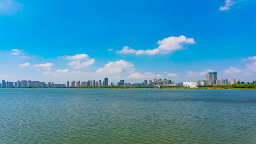 Summer Wetland Park Lake Under Blue Sky Timelapse