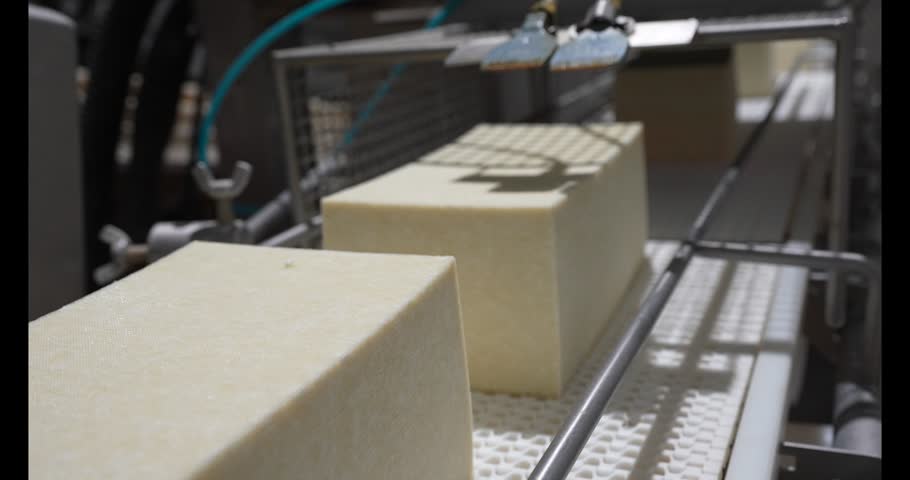 Industrial production of hard cheeses.  Moulds with pressed cheese at modern factory, closeup. Finished milk product at production line. Industrial production of hard cheeses. 