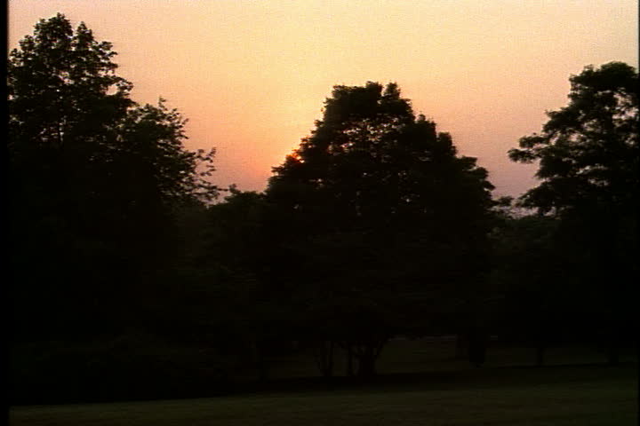 Light orange sky and silhouettes of tree tops at sunset at Oyster Bay, Long Island, New York.