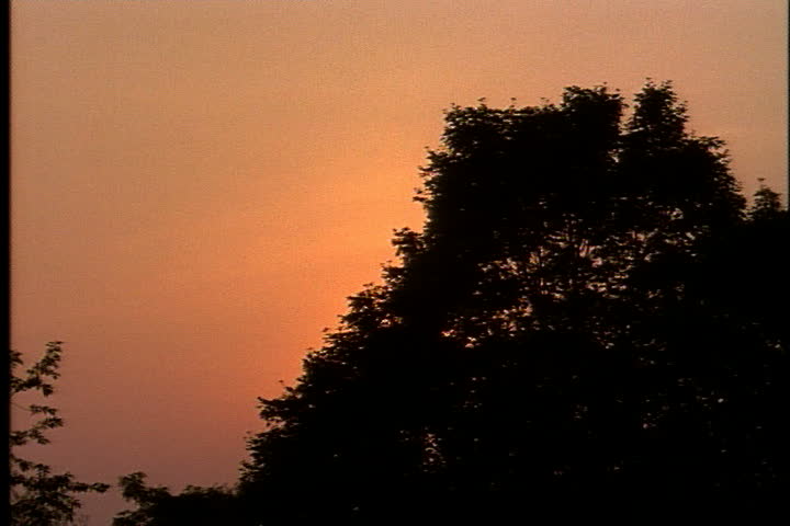 Orange sky sunset over silhouettes of tree tops at Oyster Bay, Long Island, New York