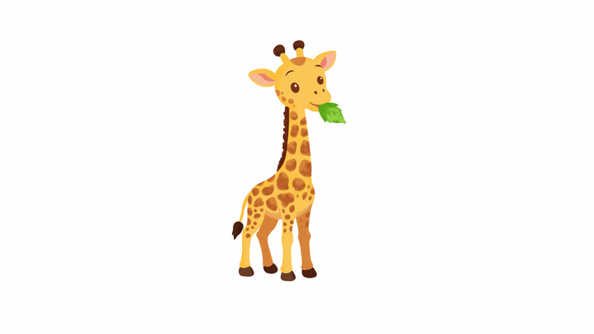 Cute Watercolor Cartoon Baby Giraffe Eating Leaf Animation on White Background