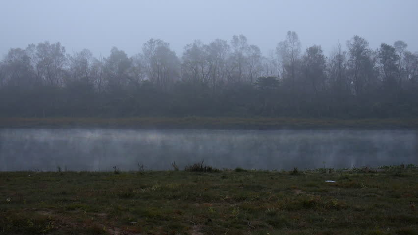 Misty morning over a tranquil lake and dense forest landscape in Chitwan national park, Nepal