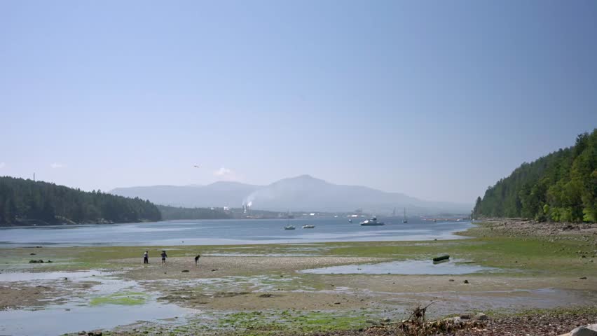 Low tide at Brickyard Beach, Gabriola Island, BC: wide tidal mudflats, boats on False Narrows, mountains under blue sky.