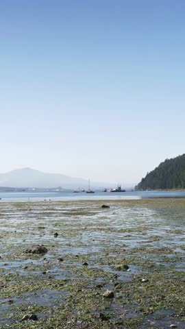 Vertical view of low tide at Brickyard Beach, Gabriola Island, BC — mudflats, boats, forested shore and blue sky.