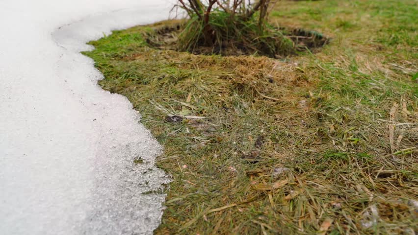 Melting snow on lawn near house in early spring. High quality FullHD footage