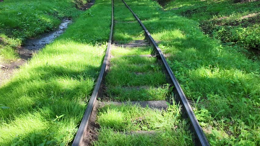 Abandoned narrow gauge railway tracks running through a lush green park with trees and grass on a bright sunny day, vintage transport infrastructure.