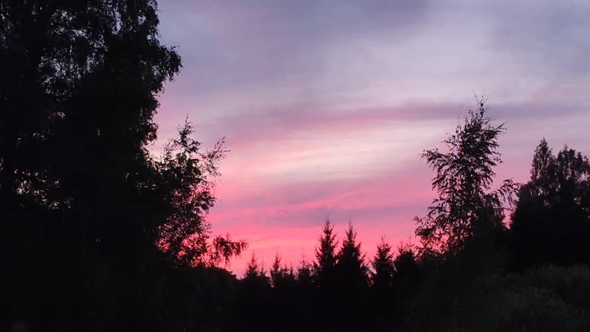 Deciduous and evergreen trees at dusk, beneath a softly glowing gradient sky. Peaceful landscape, rural nature, twilight.