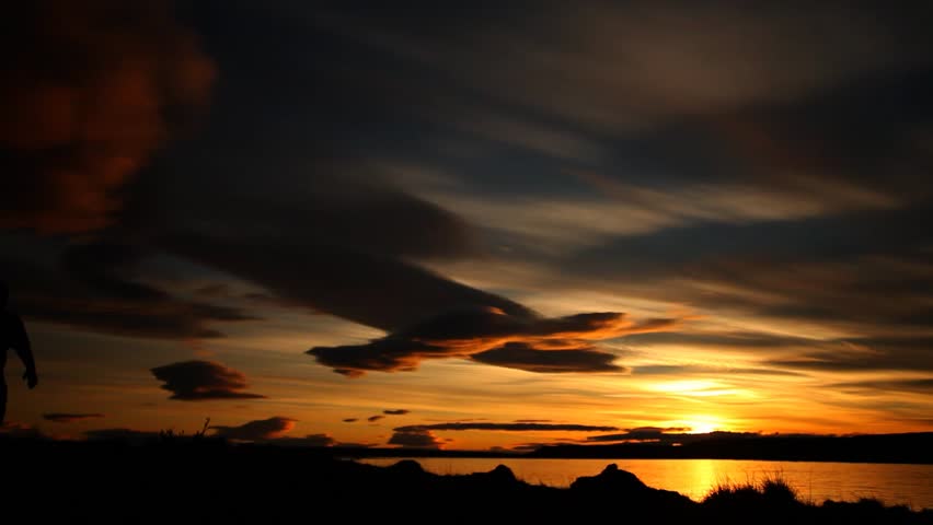 Boy playing with dog.