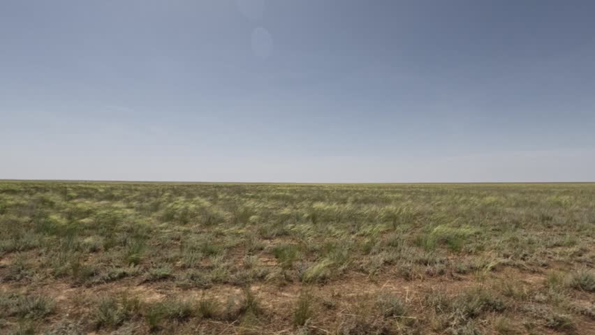Off-road vehicle traverses expansive grassland terrain, showcasing the natural beauty of the landscape with a clear blue sky above