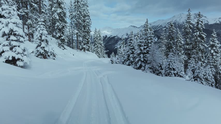 Snowy mountain trail winding through frosted pine trees with alpine peaks
