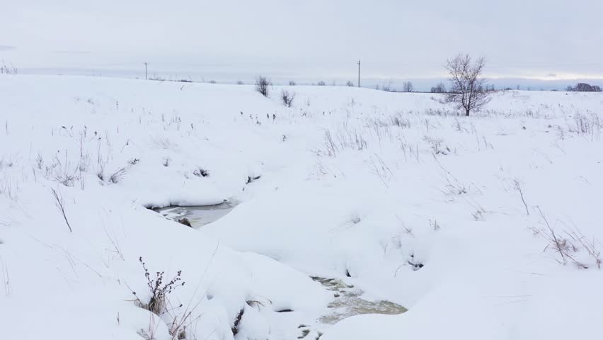 Aerial view showing wild coyote traversing frozen stream and deep snow in vast rural winter landscape during overcast day. Natural wildlife footage featuring animal in motion.