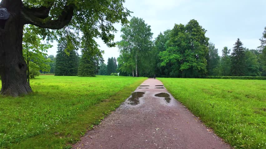 Rain in a beautiful park. Slowmotion
