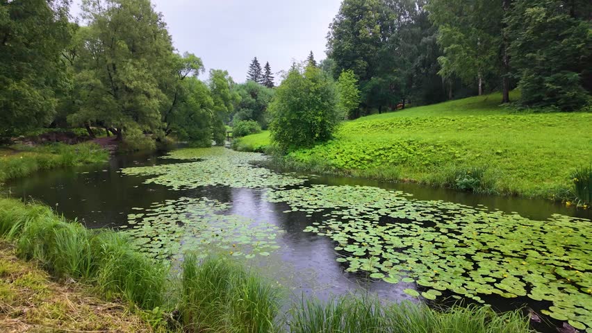 Rain in a beautiful park. Slowmotion