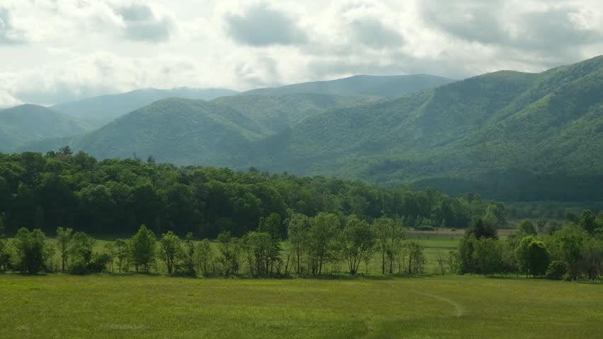 panorama of a green meadow in front of a forest and mountains in the background