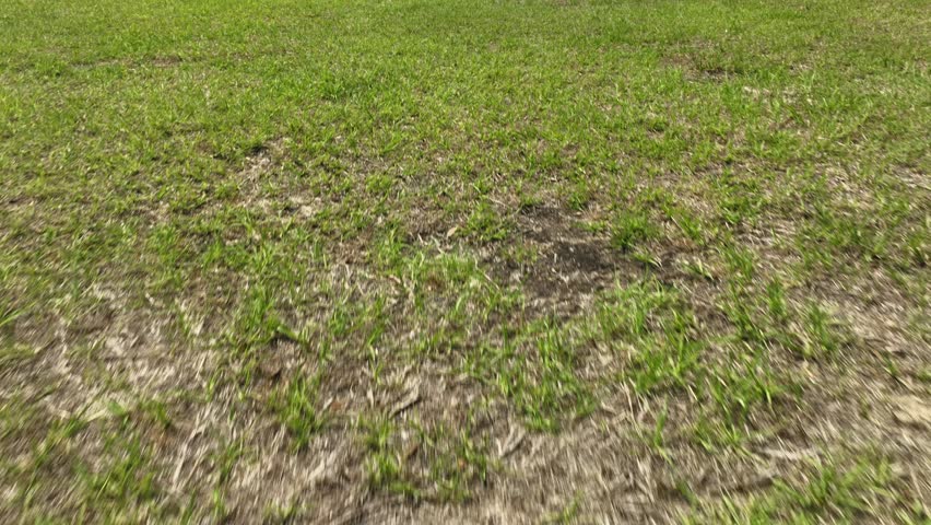 Dynamic low angle drone footage panning up over grassy outfield towards infield diamond of empty amateur baseball park under sunny blue sky with puffy white clouds at daytime.