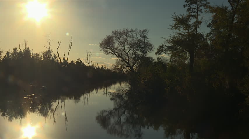 Serene sunset reflecting on the calm water of the Okefenokee Swamp in Georgia, surrounded by nature