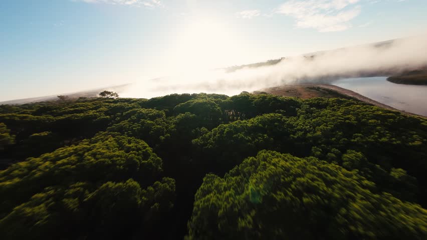 Mist curls around the riverbank at dawn. Sunlight glows soft through misty air. Trees stand silent, bathed in morning haze. Water ripples gently beside the shore