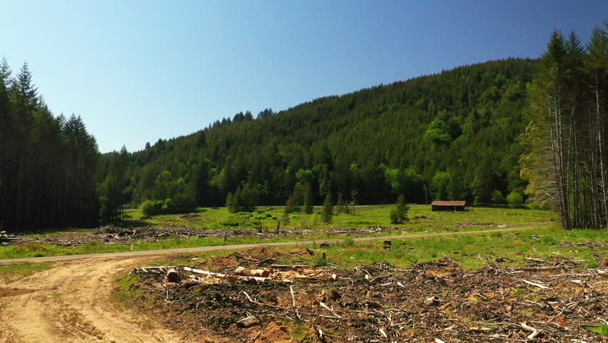 Drone shot of a forest logging operations in Portland, Oregon
