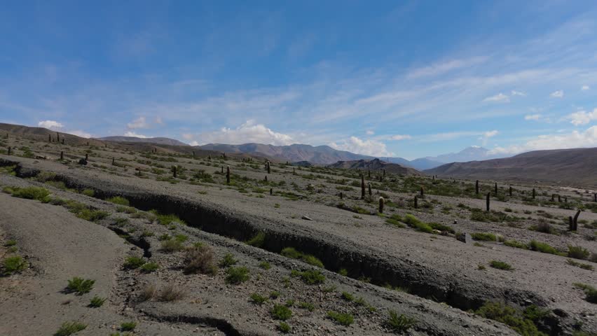 Arid landscape of El Saladillo region with cacti and mountains, aerial pullback across dry desert landscape, Salta Region Argentina