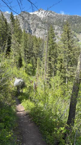 Grand Teton National Park - Hiking the Phelps Lake Trail