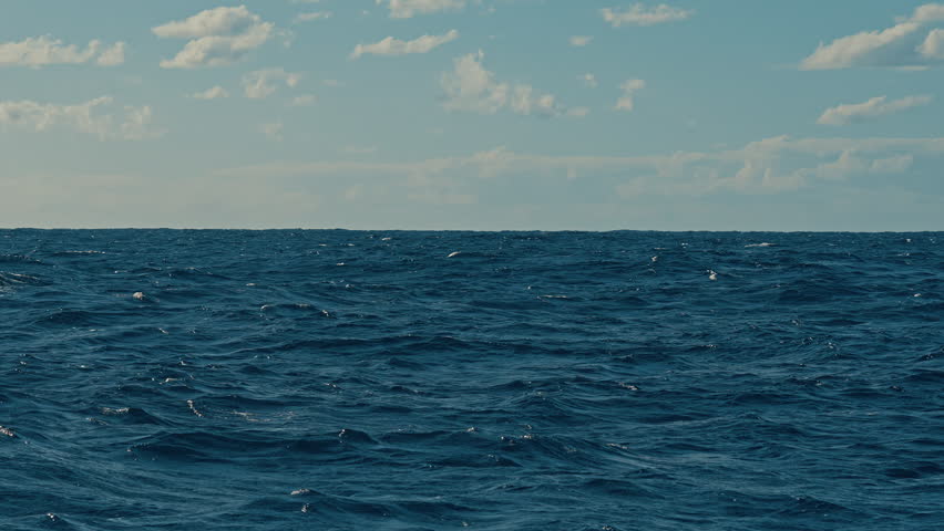 A humpback launches almost fully out of the choppy blue sea and crashes back down, sending white spray across the frame under a bright sky.