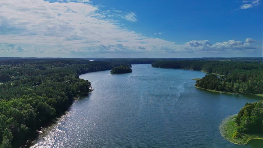 View of the lake in the forest