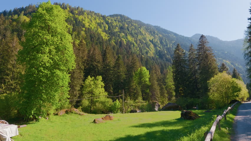 Mountain meadow forest yellow trees, gimbal stabilizer shot. Moving sideways from left to right tracking green field, alpine woods and autumn foliage on hills.