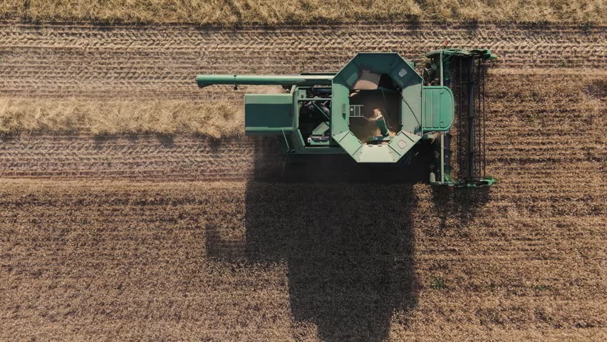 Using a combine harvester, a farmer in Northeast Wisconsin cuts and harvests winter wheat.