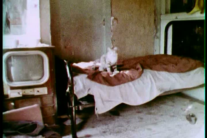 1970s - A film about Chicago, Illinois