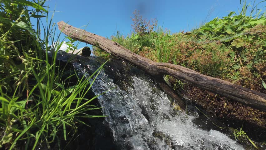 Small Waterfall Flowing Beneath Fallen Tree in Nature
