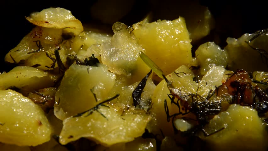 Sliced potato with dill is being prepared in a frying pan close-up