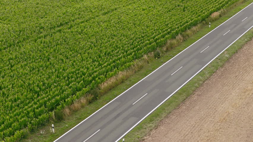 An asphalt road runs through a rural countryside bordered by a green cornfield and a plowed field under natural daylight.