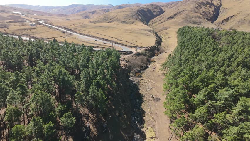 Dynamic FPV drone footage soars above a sunlit river canyon in Tafí del Valle, Tucumán, Argentina, revealing rugged hills, golden grasslands, and dense pine forests under a clear blue sky.