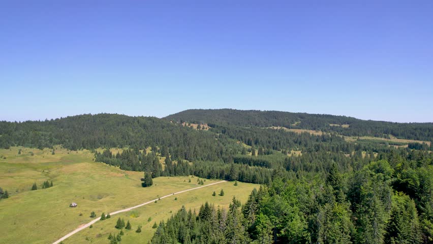 An aerial drone glides over green meadows and conifer forest in Sekulici on Tara Mountain, Serbia, revealing a winding road, scattered cabins and rolling hills beneath a clear blue sky.