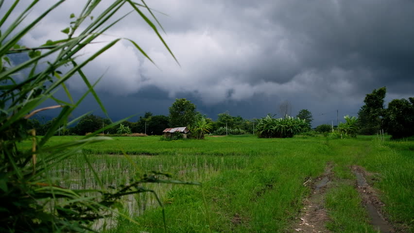 Dramatic thunderstorm approaching a rural agricultural landscape near Mae Rim, Thailand, with green rice fields, banana plants, a muddy farm track and dark storm clouds filling the sky.